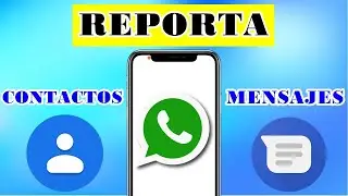 Cómo reportar mensajes y contactos de WhatsApp en Android