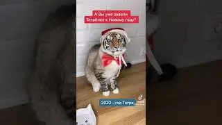 Новая маска в ТикТок тренды 😂