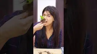 OMG 😱 Eating Flower Pot Dessert 