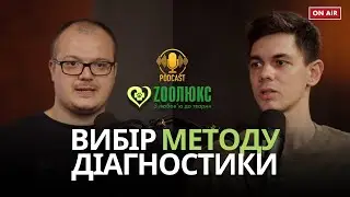 УЗД, рентген, КТ, МРТ. Що обрати для улюбленця? | Відділення радіології @ZOOLUX_VET