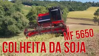 COLHEITA DA SOJA MF 5650 INTERIOR CHAPADA/RS
