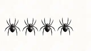 5 spiders