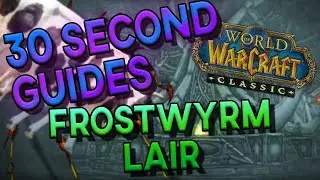 Frostwyrm Lair - 30 Second guides (loljk) - Naxxramas