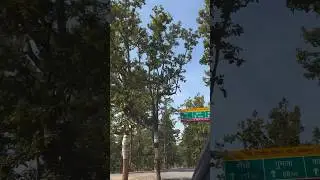 Driving in the Jungles of #jharkhand . Fresh Air !