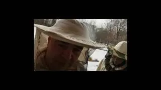 Объединение пчелосемей весной СР породы