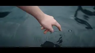 ZAMILSKA - CLOSER
