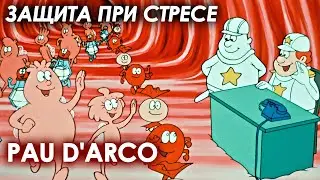 Подарко НСП свойства. Pau D'Arco nsp при стрессе