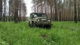 30 июня 2024 г.