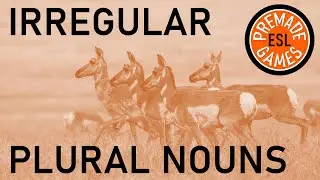 Irregular Plural Nouns English Grammar Quiz