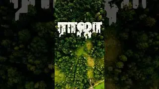Jungle Font #Editing Tamil 🔥🔥🔥 Tutorial 📌 #junglefont #urbanjunglefontdownload #tamilurbanjunglefont