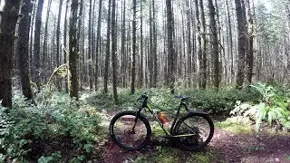 New Bike Day! Canyon Exceed Hardtail - Unboxing & A Short Ride ;)