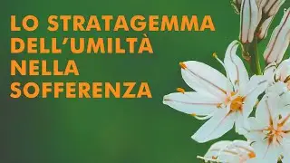 Massimo Claus Lo stratagemma dell'UMILTÀ nella SOFFERENZA