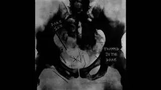 Trapped In The Dark