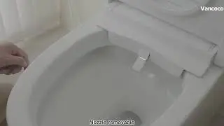 How to Choose The Function of Smart Toilet?