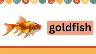 COMPOUND WORDS FOR KIDS | ESL GAME #englishisfun #compoundwords #learningisfun #quizgames