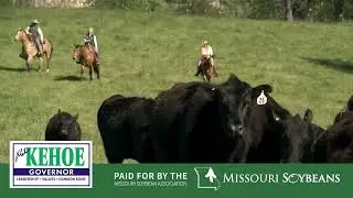 Missouri Soybean Farmers for Kehoe: Russell Wolf