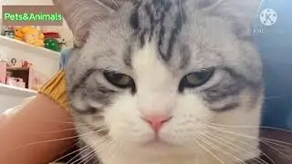 Funny cat sleeping with me