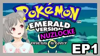 【 Vtuber Live 】Pokemon Emerald Randomized Nuzlocke with Yuuka (Episode 1)