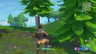 FORTNITE XBOX (NOOB SKIN)