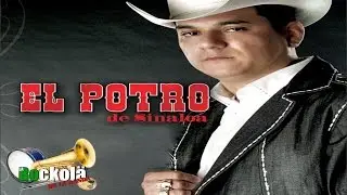 El Potro de Sinaloa / Jerarquia de Corridos Con Power Sinaloense