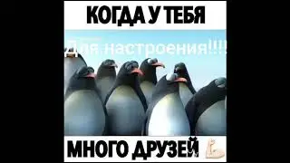 16 октября 2018 г.