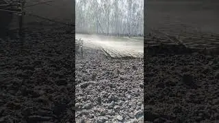 ДТ-75 закрытие влаги 2024