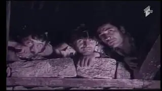 ფირუზი, ამოდი კაკაო დალიე!