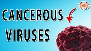 HPV and Cervical Cancer