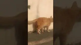 #красавчик