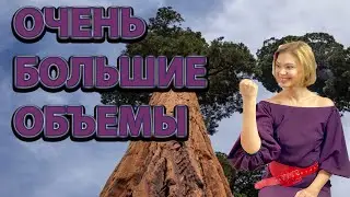 Таких объемов мы еще не видели!!!🔥🔥🔥 Что ждать 23.02.22