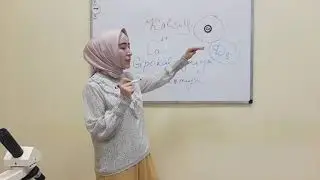 Mushaklar kuchini, suyaklar mustahkamligini ta'minlaydigan element kalsiydir!