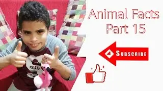 Animal facts part 15