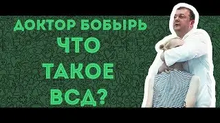 Доктор БОБЫРЬ. Что такое ВСД