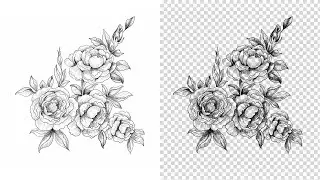 Remove White Background From Graphics in Photopea