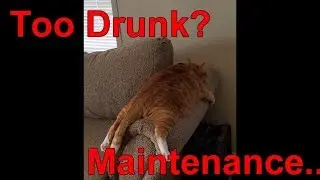 CBR 954 RR problems? | Too Drunk? | Does mileage matter?