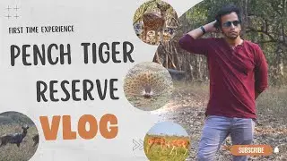 Pench Tiger Reserve Vlog | Pench Vlog | Travelling after Corona | Wildlife | A Cathartic Experience
