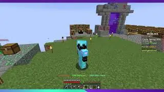 Skyblock Explanation (I Need Your Help)
