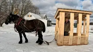 Sheds, Sheds, & MORE SHEDS! // Farming with Draft Horses 