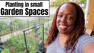 Planting in Small Garden Spaces