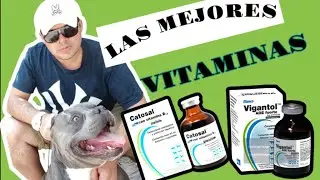 VIGANTOL Y CATOSAL  ESTO NADIE TE LO DICE😥