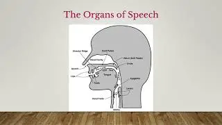 Introduction to Phonetics: Understanding SpeechSounds; Articulatory, Acoustic, and Auditoryphonetics