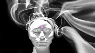 Podcast: What is mind and consciousness?