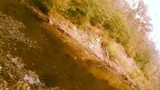 FISHING SAGA REMIX #4