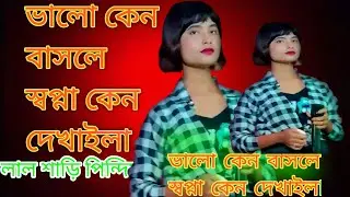 লাল শাড়ি পরিয়া কন্যা রক্ত আলতা পায় কষ্টের গান নতুন 2024 sad song music
