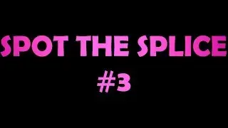 Spot the Splice #3