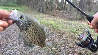 Fishing For Spotted crappy!!