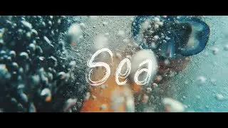 Sea | Travel film