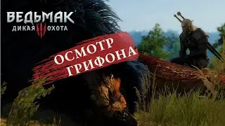 Осмотр Королевского Грифона