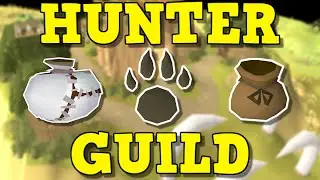 Varlamore Changes Hunter Forever With The New Hunters Guild | Hunter Rumours Are Amazing! (OSRS)