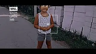 Дружок пирожок